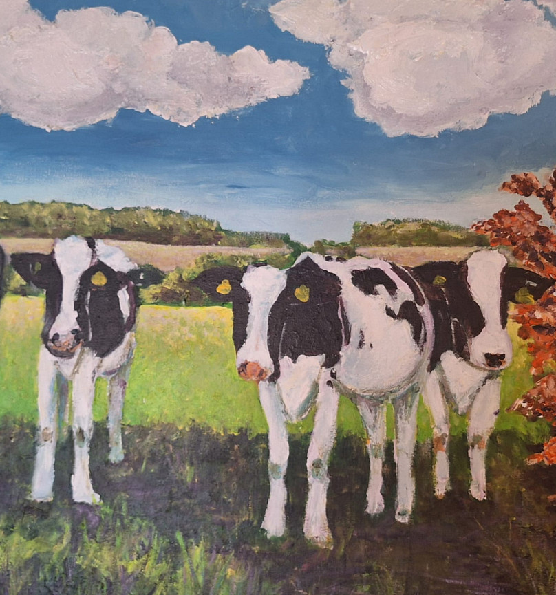 Afbeelding 3 in carrousel van Homepage carrousel