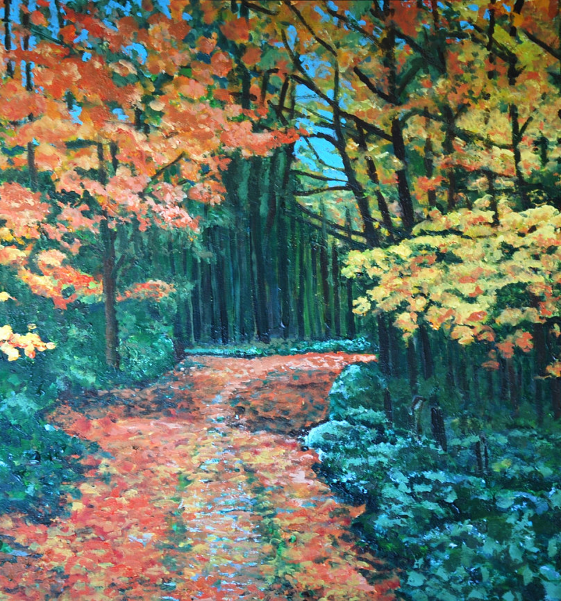 Afbeelding 3 in carrousel van Homepage carrousel